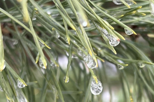 Прогноз погоды во Владимирской области на 23 февраля 2026 года