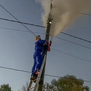 В деревне под Камешково загорелся электросчетчик на столбе