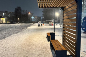 Подрядчик сорвал благоустройство у пруда в Муроме