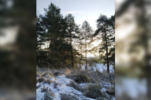 Прогноз погоды во Владимирской области на 25 ноября 2024 года