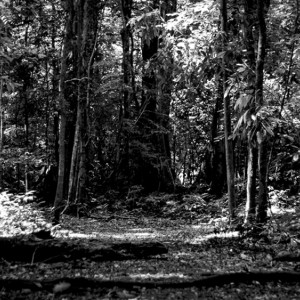 Пропавшего в Муроме 75-летнего пенсионера нашли мертвым