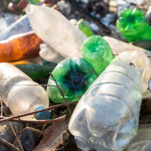 
Рекультивация свалки в Суздале обернулась для подрядчика штрафом в 90 тысяч