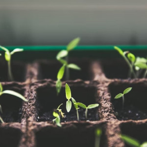 В развитие экономической зоны Доброград-1 под Ковровом вложат 1,5 млрд рублей