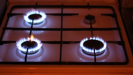 Жители Владимирской области могут получить на догазификацию до 100 тыс. рублей