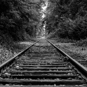 Во Владимирской области поезд переехал парня