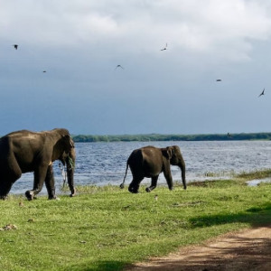 У владимирского города появился город-побратим на острове в Индийском океане 