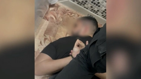 Во Владимирской области задержали ОПГ из 7 «банковских» аферистов