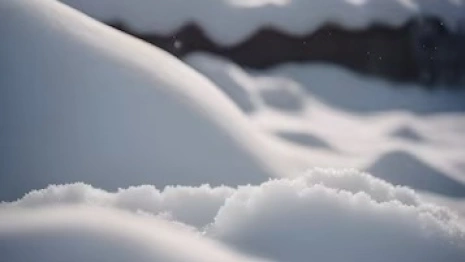 Следком начал проверку из-за найденного под Владимиром замерзшего трупа