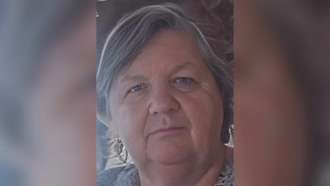 В Меленковском районе пропала 76-летняя бабушка в розовом халате