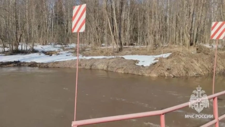 Весеннее половодье во Владимирской области началось с Александровского района