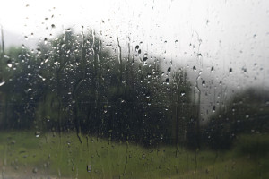 Прогноз погоды во Владимире и области на 18 августа