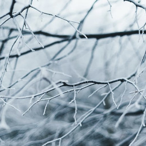 Прогноз погоды во Владимирской области на 16 декабря