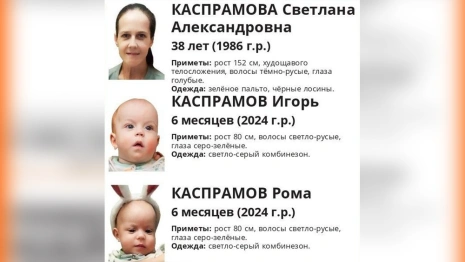 Владимирцев попросили помощи в поисках матери с двумя младенцами
