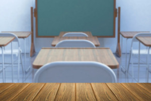 Во Владимире учителя уволят после избиения ребенка в школе №33