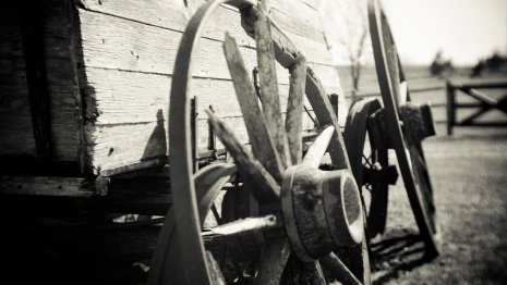 Тележный день: что можно и нельзя делать 29 марта