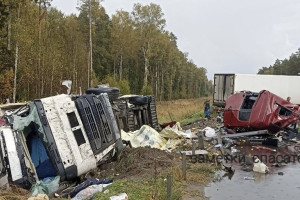 На М-7 под Ковровом произошло смертельное ДТП с груженной товарами фурой