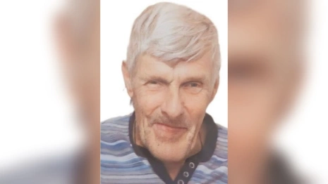 Волонтеры объявили поиски во Владимирской области 74-летнего пенсионера