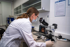 «Транснефть-Верхняя Волга» выполнила более 242 тыс. испытаний нефти и нефтепродуктов в 2024 году