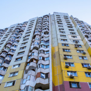 Во Владимирской области выбрали самый большой «человейник»