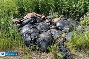Свалку из трупов баранов под Александровом сожгут