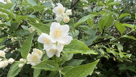 Прогноз погоды во Владимирской области на 12 июля 2025 года