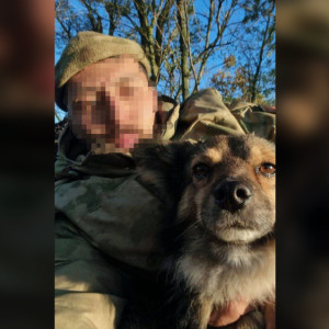 Власти Владимирской области показали несущих службу кошек и собак в зоне СВО