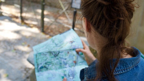 Частным гидам запретили водить туристов во владимирские храмы и монастыри