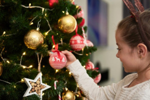 Во Владимирской области открыли прием заявок на акцию «Елка желаний»