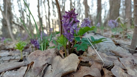 Прогноз погоды во Владимире и области на 12 апреля