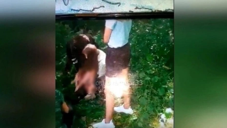 Мама избитой старшеклассницами девочки из Курлово впервые прокомментировала конфликт