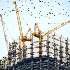 В Добром во Владимире уменьшат масштабы точечной застройки