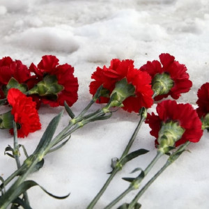 Во Владимирской области простились с погибшим в СВО майором 