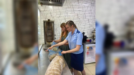 Массовое отравление шаурмой во Владимире привело к уголовному делу