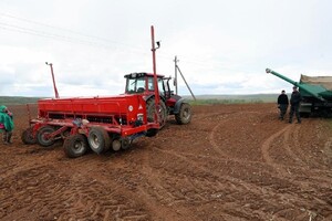 Во Владимирской области на выращивание экспериментальной конопли потратят 800 млн