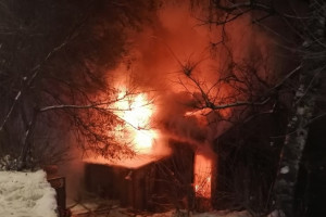 Спасатели рассказали о перекрывшем въезд в Боголюбово пожаре