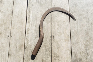 Жителя Коврова осудили за истязание приятеля серпом