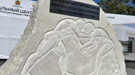 Во Владимире региональный центр спортивной борьбы назовут в честь Романа Кутузова