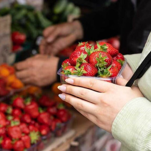 Во Владимире заработала традиционная сельхозярмарка