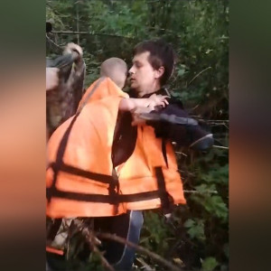 Водолаз из Владимира нашел пропавшего в вологодских лесах 3-летнего мальчика 