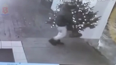 Пьяный житель Владимира утащил с веранды кафе украшенную пихту