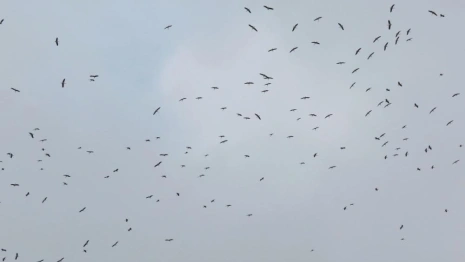 Появился неутешительный прогноз на первые выходные декабря во Владимире