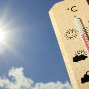 Во Владимирской области последний день июня запомнится 31-градусной жарой