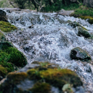 Народные приметы на 2 марта: что можно и нельзя делать в Федоров день