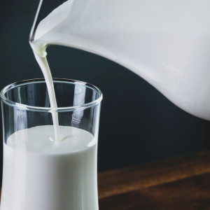 Во Владимирской области в 4,5% пробах молока нашли кишечную палочку