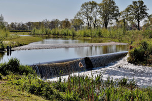 Владимирская область получит 36 млн рублей на ремонт дамб и плотин