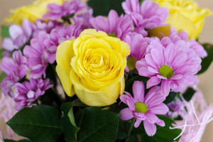 Во Владимирской области 16-летняя девушка и 85-летняя бабушка стали невестами в 2023 