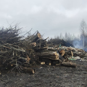 В Гусь-Хрустальном нашли две незаконные свалки