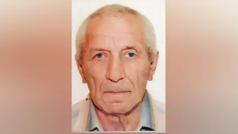 Во Владимирской области пропал 73-летний дедушка