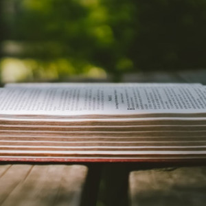 Владимирский сенатор прокомментировала стихами попадание под санкции США