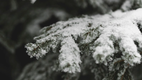 Прогноз погоды во Владимире и области на 30 ноября